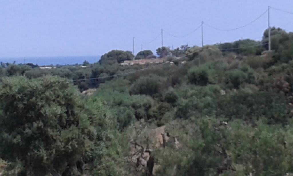 פאסאנו Lama Cupa מראה חיצוני תמונה